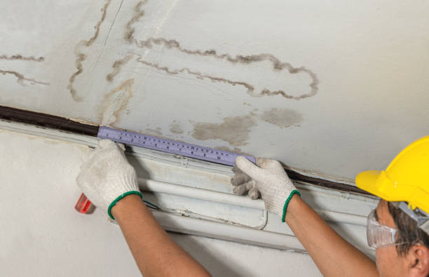 Reliable Water Damage contractor in Ravenna, MI by Water Damage Irwin